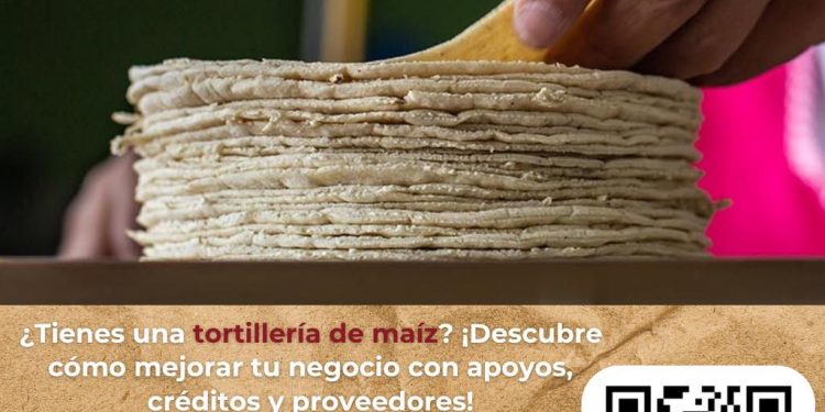 CONSTRUCCIÓN DEL PASO A DESNIVEL EN FONATUR MANTIENE MAYOR PROGRESO DE ACUERDO A TIEMPOS PROGRAMADOS; AVANCE ES DEL 50%