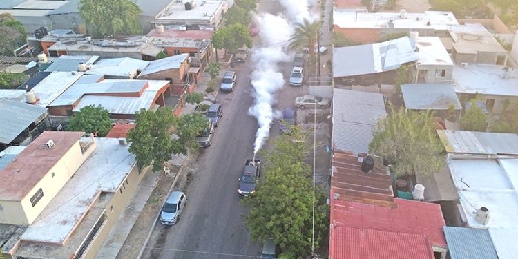 ANUNCIA GOBIERNO DE BCS A GANADORES DEL PREMIO ESTATAL DEL DEPORTE 2025