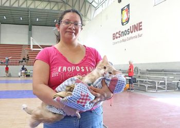 SNE Y EL AYUNTAMIENTO DE MULEGÉ FIRMAN UN CONVENIO PARA IMPULSAR LA EMPLEABILIDAD