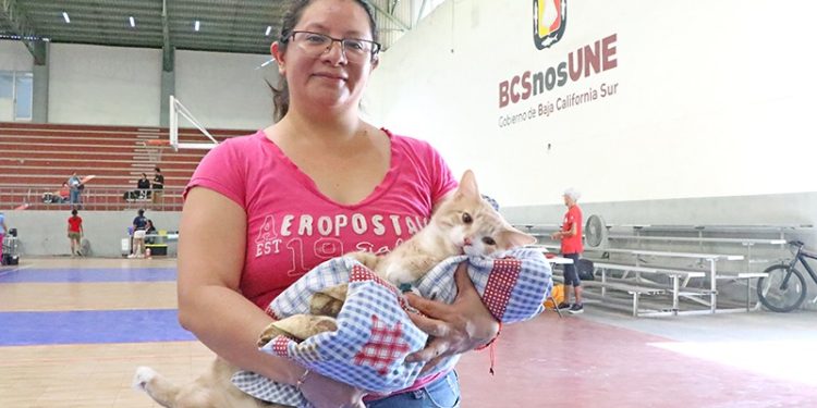 SNE Y EL AYUNTAMIENTO DE MULEGÉ FIRMAN UN CONVENIO PARA IMPULSAR LA EMPLEABILIDAD