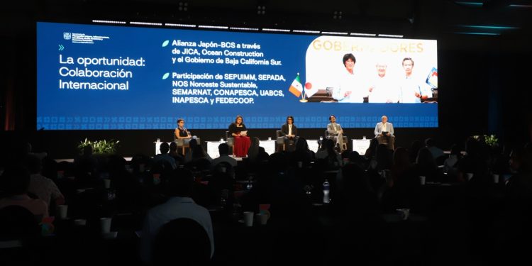 CONQUISTA CAMILA JIMÉNEZ LA MEDALLA  DE ORO EN INFOMATRIX SUDAMÉRICA 2025