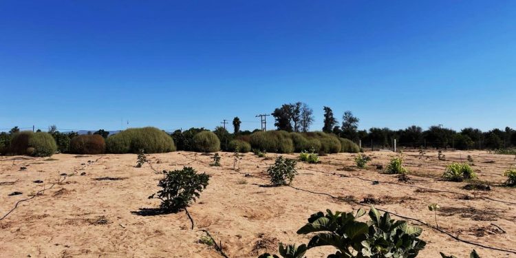 CONVENIO ENTRE SNE E ITESME IMPULSA OPORTUNIDADES DE EMPLEO PARA ESTUDIANTES