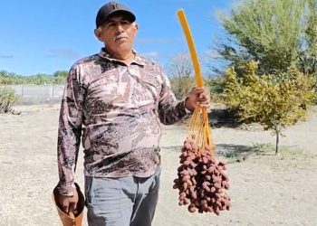 FIRMAN ICATEBCS Y CEB 8/2 CONVENIO DE COLABORACIÓN EN BENEFICIO DE LA COMUNIDAD ESTUDIANTIL
