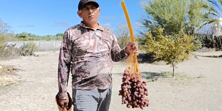 FIRMAN ICATEBCS Y CEB 8/2 CONVENIO DE COLABORACIÓN EN BENEFICIO DE LA COMUNIDAD ESTUDIANTIL