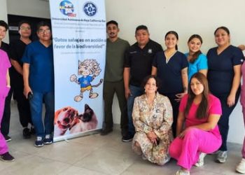 REALIZAN JORNADA DE ESTERILIZACIÓN CANINA Y FELINA EN UABCS CIUDAD INSURGENTES