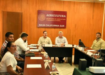 OTORGAN 19 BECAS- COMISIÓN A DOCENTES DE BCS PARA ESTUDIOS DE POSGRADOS