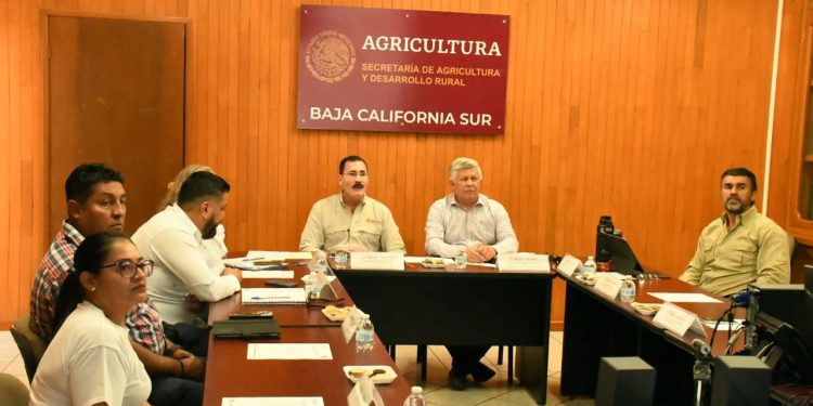 OTORGAN 19 BECAS- COMISIÓN A DOCENTES DE BCS PARA ESTUDIOS DE POSGRADOS