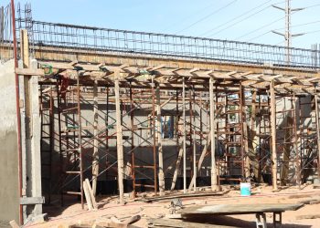 ESTUDIANTES DE CIENCIA ANIMAL DE LA UABCS RECIBEN FORMACIÓN AVANZADA EN MANEJO REPRODUCTIVO DEL GANADO