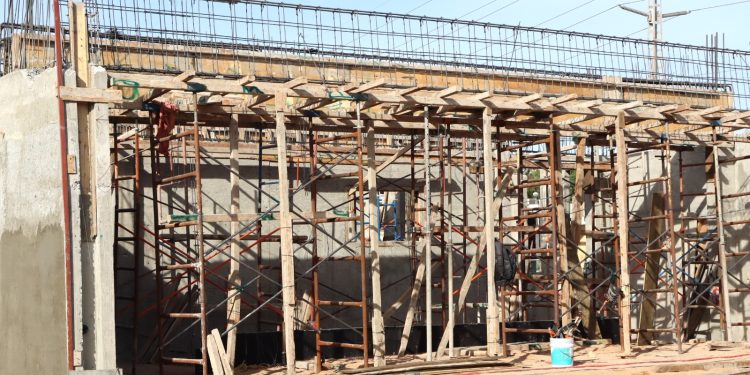 ESTUDIANTES DE CIENCIA ANIMAL DE LA UABCS RECIBEN FORMACIÓN AVANZADA EN MANEJO REPRODUCTIVO DEL GANADO