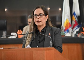 IMPULSA DIPUTADA GABRIELA MONTOYA INICIATIVA PARA TIPIFICAR DELITO DE VIOLENCIA DE GÉNERO EN BCS
