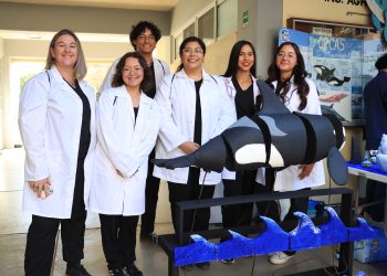 UABCS PROMUEVE ENSEÑANZA INTEGRAL Y RESPETO POR LA VIDA ANIMAL CON EL FESTIVAL DE MORFOFISIOLOGÍA DE MAMÍFEROS MARINOS 2025