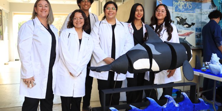 UABCS PROMUEVE ENSEÑANZA INTEGRAL Y RESPETO POR LA VIDA ANIMAL CON EL FESTIVAL DE MORFOFISIOLOGÍA DE MAMÍFEROS MARINOS 2025