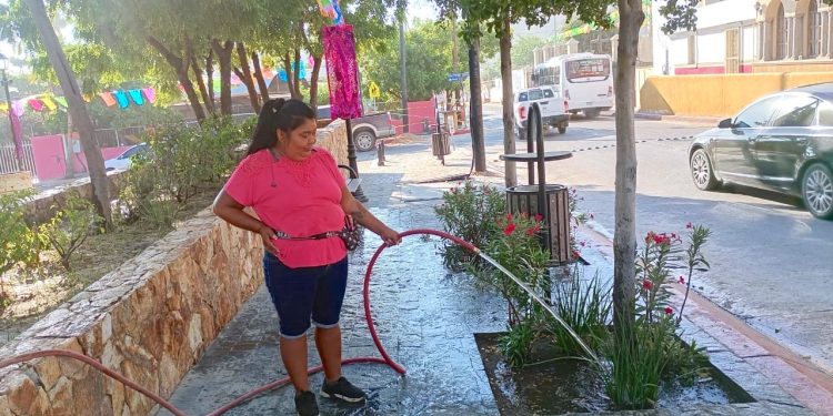 DIF LOS CABOS ACERCA APOYOS A LAS FAMILIAS DE LA ZONA RURAL DE CSL