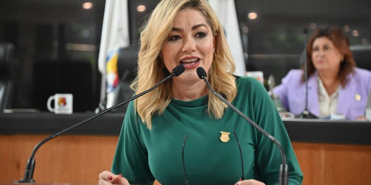 ANALIZA CONGRESO PENALIZAR EL DELITO DE MONTACHOQUES