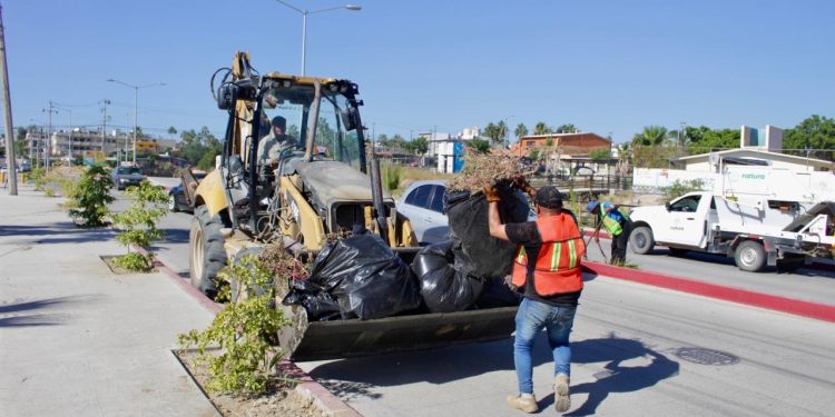 REFUERZA AYUNTAMIENTO DE LOS CABOS COORDINACIÓN Y SEGURIDAD PARA EVENTOS PROGRAMADOS DURANTE NOVIEMBRE