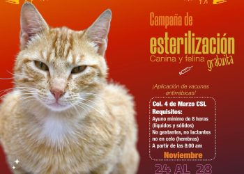 INVITA AYUNTAMIENTO DE LOS CABOS A PARTICIPAR EN CAMPAÑA DE ACOPIO DE RESIDUOS RECICLABLES