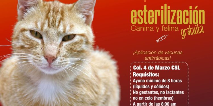 INVITA AYUNTAMIENTO DE LOS CABOS A PARTICIPAR EN CAMPAÑA DE ACOPIO DE RESIDUOS RECICLABLES