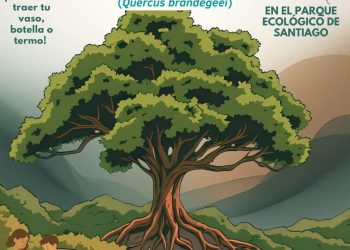 INVITAN A PARTICIPAR EN LA CUARTA EDICIÓN DEL FESTIVAL COMUNITARIO “ CONSERVACIÓN DEL ENCINO ARROYERO “ EN SANTIAGO