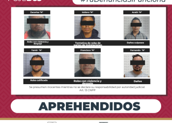 APREHENDE PGJE A 6 PERSONAS POR DIVERSOS DELITOS