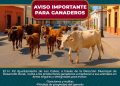 INVITAN A SUMARSE A LA CAMPAÑA DE DONACIÓN DE JUGUETES 2025 EN CABO SAN LUCAS