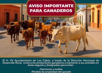 INVITAN A SUMARSE A LA CAMPAÑA DE DONACIÓN DE JUGUETES 2025 EN CABO SAN LUCAS