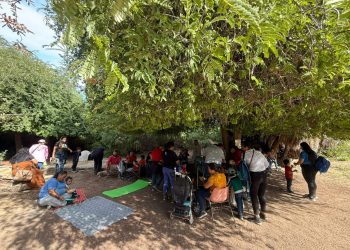 NIÑAS Y NIÑOS DEL CAM “8 DE OCTUBRE” VISITAN EL  CAMPO AGRÍCOLA DE LA UABCS Y PARTICIPAN  EN ACTIVIDADES DE APRENDIZAJE AMBIENTAL