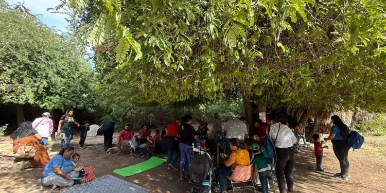 NIÑAS Y NIÑOS DEL CAM “8 DE OCTUBRE” VISITAN EL  CAMPO AGRÍCOLA DE LA UABCS Y PARTICIPAN  EN ACTIVIDADES DE APRENDIZAJE AMBIENTAL
