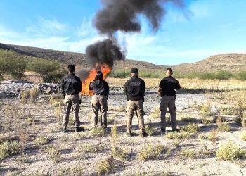 INCINERA FGR NARCÓTICOS Y OBJETOS DEL DELITO EN LA PAZ BCS