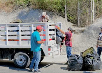 EXITOSA RESPUESTA AL PROGRAMA DE EMPLEO TEMPORAL EN LOS CABOS