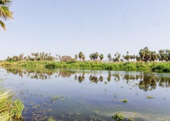 SUPERVISAN AUTORIDADES MUNICIPALES AVANCES EN LA CONSERVACIÓN DEL ESTERO DE SAN JOSÉ DEL CABO