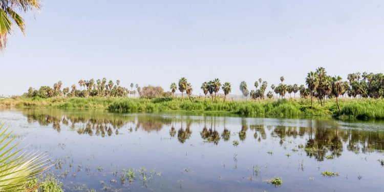 SUPERVISAN AUTORIDADES MUNICIPALES AVANCES EN LA CONSERVACIÓN DEL ESTERO DE SAN JOSÉ DEL CABO