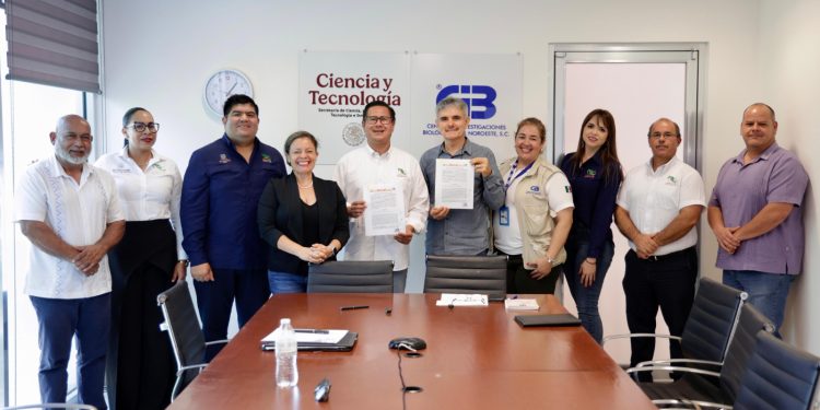 CONQUISTA CAMILA JIMÉNEZ LA MEDALLA DE ORO EN INFOMATRIX SUDAMÉRICA 2025