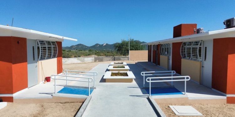 UABCS Y JUAN PABLO II GANAN LA 4TA COPA GOBERNADOR ORGANIZADA POR EL INSUDE