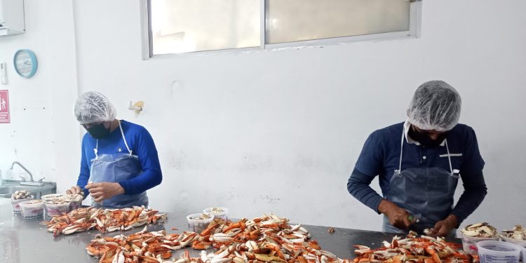 CONSOLIDA SEPADA EL ORDENAMIENTO PESQUERO Y ACUÍCOLA EN BCS