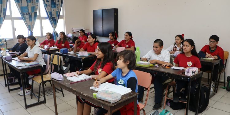 GOBIERNO DEL ESTADO IMPLEMENTA MÓDULOS  DE FORRAJE HIDROPÓNICO EN BCS