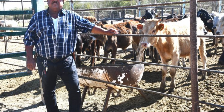 SEPADA FORTALECE PROTECCIÓN A GANADEROS CON REFORMAS A LA LEY GANADERA