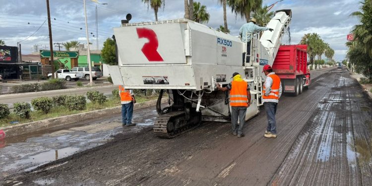 REFUERZA GOBIERNO ESTATAL ACCIONES PARA MANTENER ZONA LIBRE DE MOSCA DE LA FRUTA