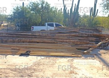 POR ORDEN DE UN JUEZ, REALIZA FGR CATEO EN UN INMUEBLE DE LA PAZ, BAJA CALIFORNIA SUR