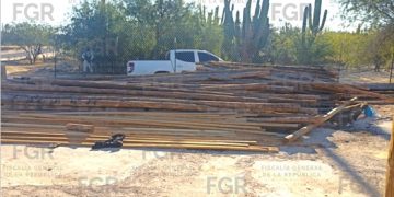 POR ORDEN DE UN JUEZ, REALIZA FGR CATEO EN UN INMUEBLE DE LA PAZ, BAJA CALIFORNIA SUR