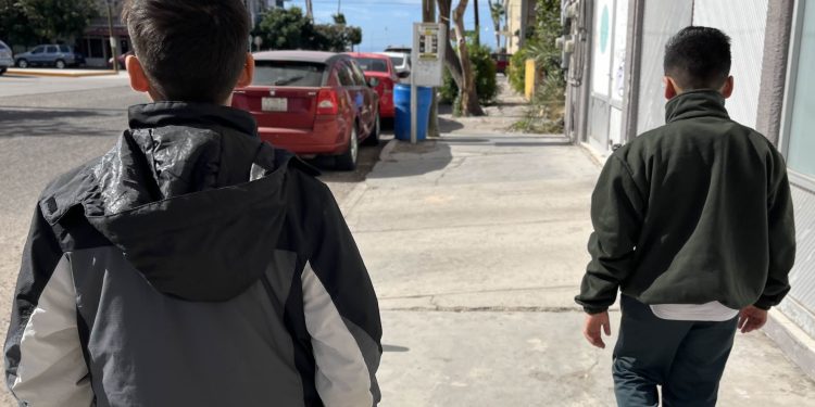 LLAMA IMSS BAJA CALIFORNIA SUR A PREVENIR PADECIMIENTOS DE TEMPORADA COMO INFECCIONES RESPIRATORIAS