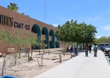 PUBLICA UABCS RESULTADOS DE NUEVO INGRESO A LA LICENCIATURA EN BIOLOGÍA MARINA PARA EL SEMESTRE 2026-I