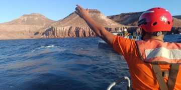RESCATA PERSONAL NAVAL A CINCO BUZOS REPORTADOS COMO DESAPARECIDOS EN LA ISLA ESPÍRITU SANTO, BAJA CALIFORNIA SUR