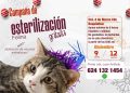 REALIZARÁN CAMPAÑA GRATUITA DE ESTERILIZACIÓN FELINA EN CABO SAN LUCAS