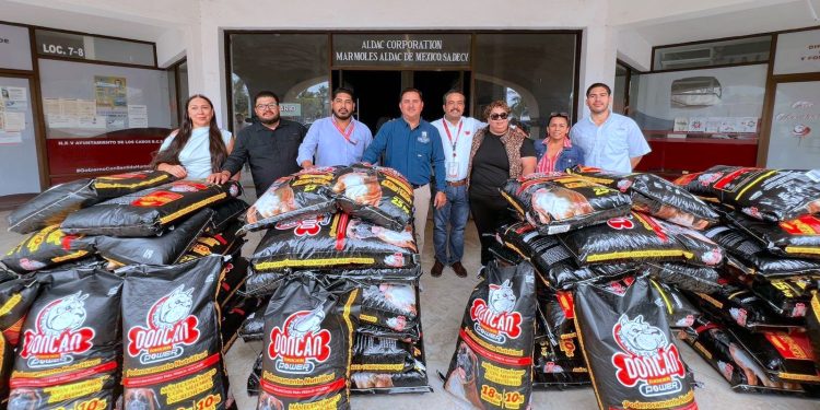 REALIZARÁN CAMPAÑA GRATUITA DE ESTERILIZACIÓN FELINA EN CABO SAN LUCAS