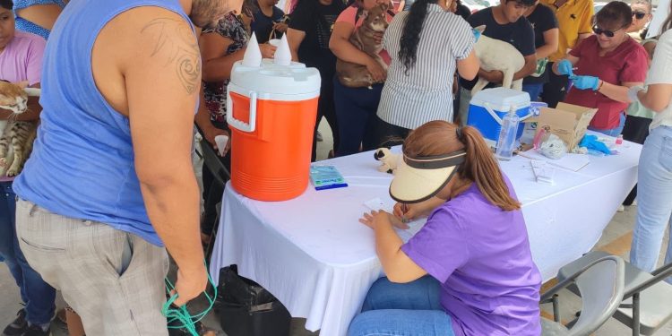 SUPERVISAN AVANCE DE LA REGULARIZACIÓN DE MAS DE MIL LOTES EN LA COLONIA LÓPEZ OBRADOR EN CSL