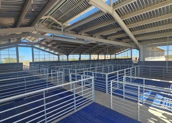 GOBIERNO DE BCS IMPULSA INFRAESTRUCTURA UNIVERSITARIA PARA BENEFICIAR A ESTUDIANTES DE LOS CINCO MUNICIPIOS