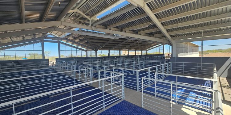 GOBIERNO DE BCS IMPULSA INFRAESTRUCTURA UNIVERSITARIA PARA BENEFICIAR A ESTUDIANTES DE LOS CINCO MUNICIPIOS