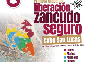 INICIA EN CABO SAN LUCAS PRIMERA ETAPA DEL PROGRAMA “ZANCUDO SEGURO” CON EL MÉTODO WOLBACHIA