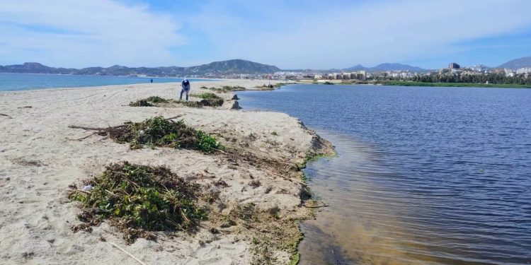 REALIZA ECOLOGÍA JORNADA DE LIMPIEZA EN EL ESTERO JOSEFINO