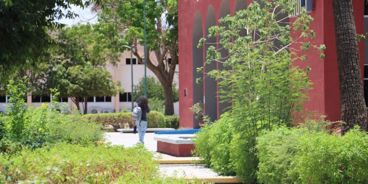 UABCS INICIA PERIODO VACACIONAL DE INVIERNO EN TODAS SUS SEDES DEL ESTADO